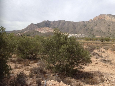 Land for sale in town 209992