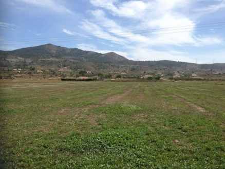 Land for sale in town,  209993