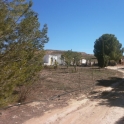 Tabernas property: Farmhouse for sale in Tabernas 210116