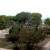Punta Prima property: Punta Prima, Spain Apartment 211546