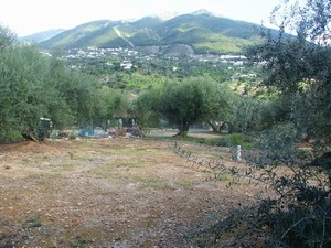 Alcaucin property: Alcaucin, Spain | Villa for sale 212460