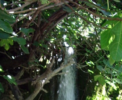 Canillas&nbsp;De&nbsp;Aceituno&nbsp;property:&nbsp;Malaga&nbsp;Villa&nbsp;212927