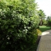 Estepona property: Estepona, Spain Apartment 213042