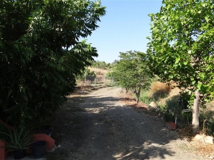 Coin property: Villa for sale in Coin, Spain 213058