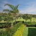 Beautiful Apartment for sale in town 213060