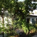 Coin property: Malaga, Spain Villa 213065