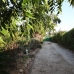 Coin property: Coin, Spain Villa 213065