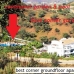 Marbella property: Malaga, Spain Apartment 213085