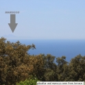 Marbella property: Villa for sale in Marbella 213086