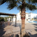 Algorfa property: Villa for sale in Algorfa 213124