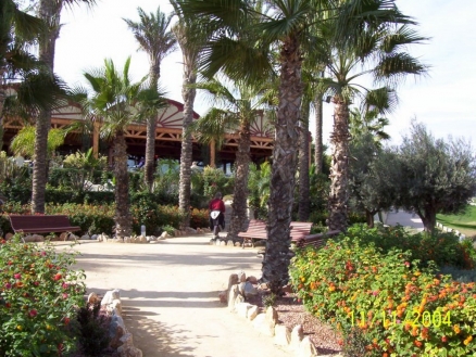 Algorfa property: Villa with 2 bedroom in Algorfa 213124