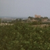 Algorfa property: Algorfa Villa, Spain 213124