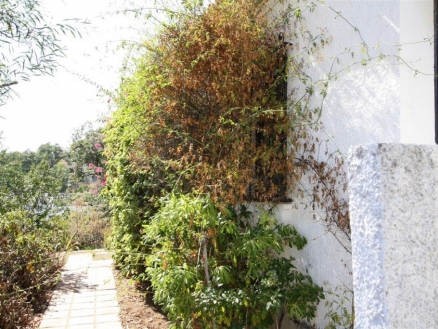 Elviria property: Elviria Villa 213167