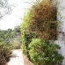 Elviria property: Beautiful Villa for sale in Malaga 213167