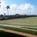 El Rosario property: Apartment in El Rosario 213342