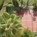Marbella property: 3 bedroom Apartment in Malaga 213351