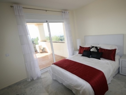town Apartment 213361
