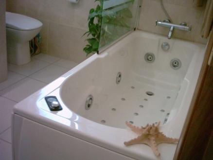 Mijas Costa property: Malaga Villa 213369
