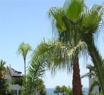 Apartment for sale in town, Malaga 213381