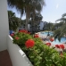 Costalita property: Apartment for sale in Costalita 213521
