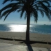 Costalita property: Costalita Apartment, Spain 213533
