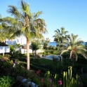 Costalita property: Apartment for sale in Costalita 213538