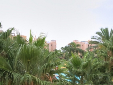 Costalita property: Malaga Apartment 213541