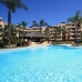 Costalita property: Apartment for sale in Costalita 213541
