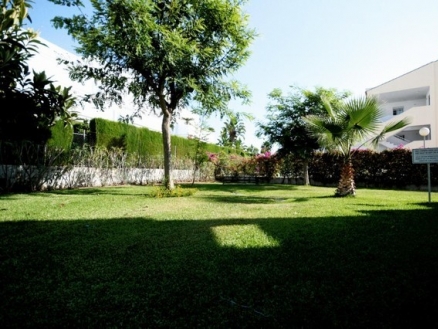 Malaga Apartment 213552