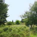 Marbella property: Land for sale in Marbella 213557