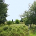 Marbella property: Land in Marbella 213558