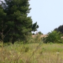 Marbella property: Land for sale in Marbella 213559