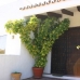 San Pedro de Alcantara property: San Pedro de Alcantara Villa, Spain 213564