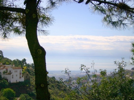 El Madronal property: Villa for sale in El Madronal, Spain 213569