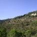 El Madronal property: El Madronal Villa, Spain 213581