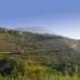 El Madronal property: El Madronal, Spain Villa 213582
