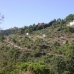 El Madronal property:  Villa in Malaga 213582