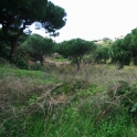 Elviria property: Land for sale in Elviria 213589