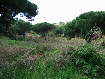 Elviria property: Land for sale in Elviria 213589