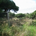 Elviria property: Elviria, Spain Land 213589