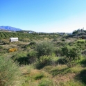 Land for sale in town 213593