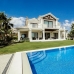 Nueva Andalucia property: Villa for sale in Nueva Andalucia 213700