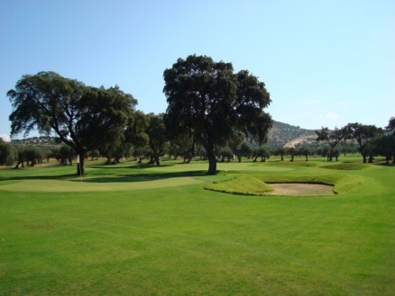 Nueva Andalucia property: Nueva Andalucia Apartment 213715