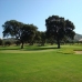 Nueva Andalucia property: Beautiful Apartment for sale in Malaga 213715