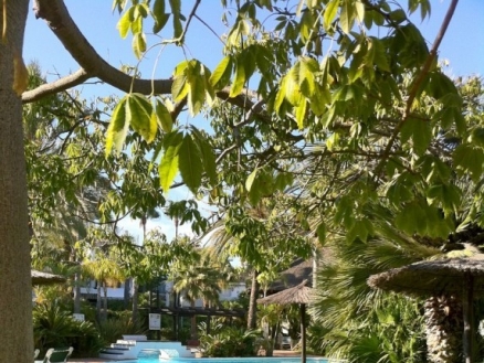Estepona property: Apartment in Malaga for sale 213836