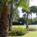 Nueva Andalucia property: Apartment for sale in Nueva Andalucia 213848