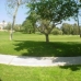 Malaga Villa, Spain 213850