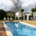 San Pedro de Alcantara property: Malaga, Spain Villa 213860
