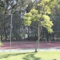 Marbella property: Apartment for sale in Marbella 213889