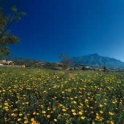 La Quinta property: Land for sale in La Quinta 213903